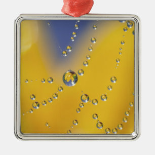 Nahes Aufziehen des Spinnennetzes mit Taubentropfe Silbernes Ornament