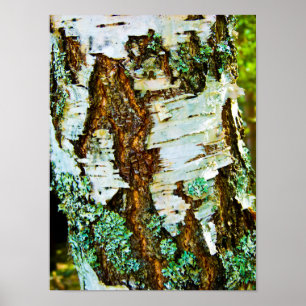 Nahes Baumposter Poster