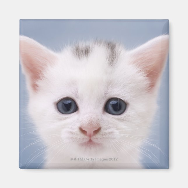 Nahes Bild mit vorwiegend weißer Oberfläche Magnet (Vorne)
