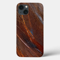 Nahes Detail der farbenfrohen Pfauenfeder