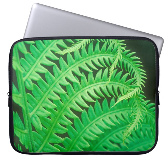 Nahes Foto einer Farnfront Laptopschutzhülle (Vorderseite)