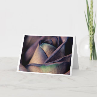 Nahes hohes der blauen Rose Karte