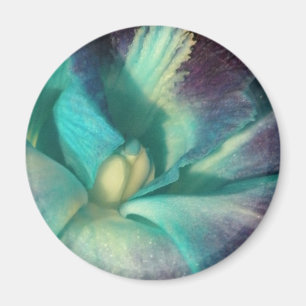 Nahes hohes der blauen und lila Orchidee Magnet