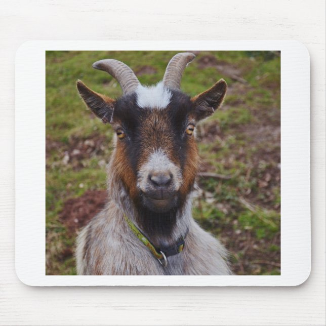 Nahes hohes der Ziege Mousepad (Vorne)
