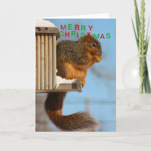 Nahes hohes des Fox-Schwanz-Eichhörnchens Feiertagskarte