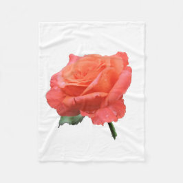 Nahes hohes Foto der Single-Rose Fleecedecke