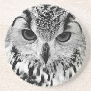 Nahes hohes Porträt der eurasischen Eagle-Eule Getränkeuntersetzer