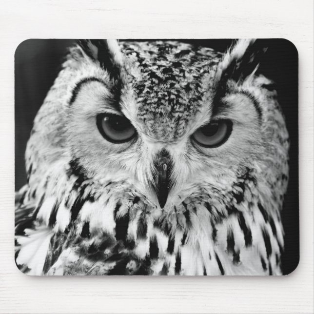 Nahes hohes Porträt der eurasischen Eagle-Eule Mousepad (Vorne)