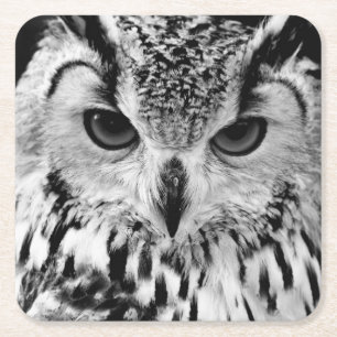 Nahes hohes Porträt der eurasischen Eagle-Eule Rechteckiger Pappuntersetzer