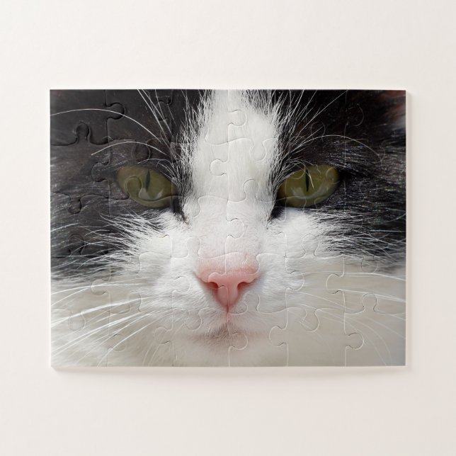 Nahes Katzengesicht, leicht Puzzle (Horizontal)