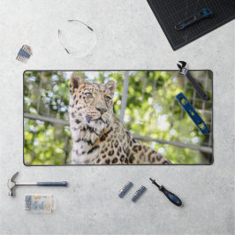 Nahes Leopard Face Foto Schreibtischunterlage