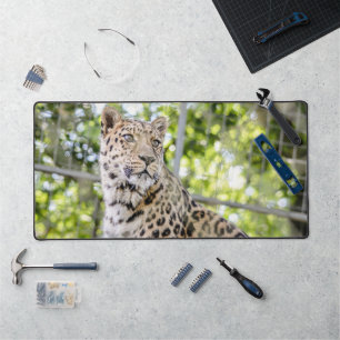 Nahes Leopard Face Foto Schreibtischunterlage