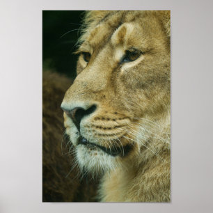 Nahes Lötprofil Poster