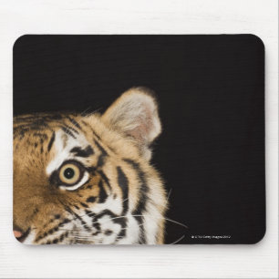 Nahes Ohr des zerreißenden Tigers Mousepad