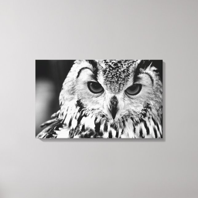 Nahes Portrait der eurasischen Adlereule Leinwanddruck (Vorderseite)