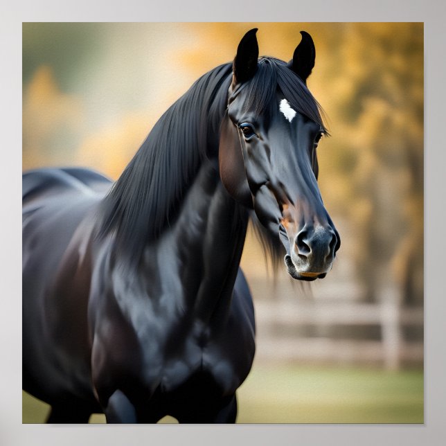 Nahes Portrait eines Schwarzen Pferdes Poster (Vorne)