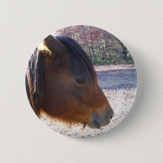 Nahes Reitpferd, Little Brown Pony Button (Vorderseite)