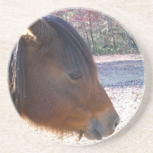 Nahes Reitpferd, Little Brown Pony Getränkeuntersetzer