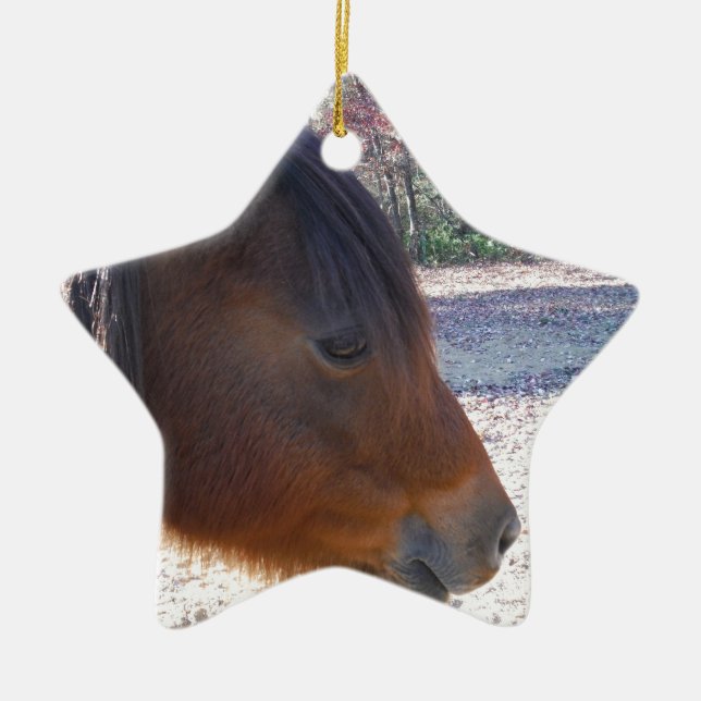 Nahes Reitpferd, Little Brown Pony Keramik Ornament (Vorne)