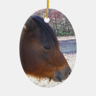 Nahes Reitpferd, Little Brown Pony Keramikornament