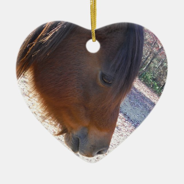Nahes Reitpferd, Little Brown Pony Keramikornament (Vorne)