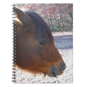 Nahes Reitpferd, Little Brown Pony Notizblock