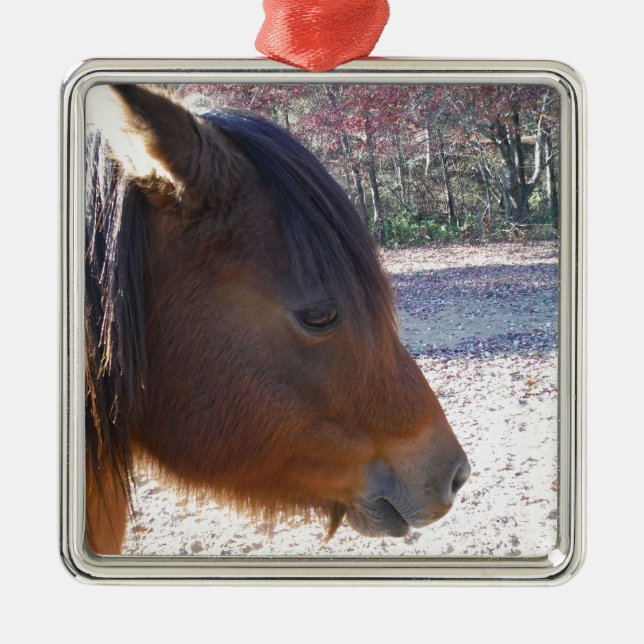 Nahes Reitpferd, Little Brown Pony Silbernes Ornament (Vorne)