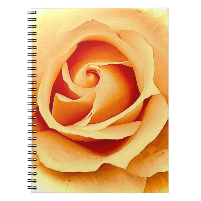 Nahes Rose-Notebook Notizblock (Vorderseite)