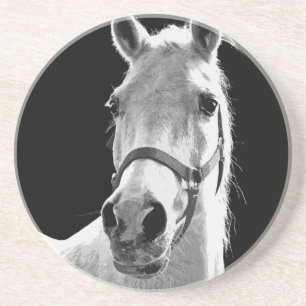 Nahes Schwarz-weißes Pferd in der Nacht Sandstein Untersetzer