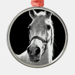 Nahes Schwarz-weißes Pferd in der Nacht Silbernes Ornament