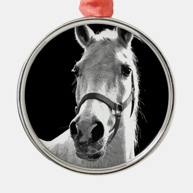 Nahes Schwarz-weißes Pferd in der Nacht Silbernes Ornament (Vorne)