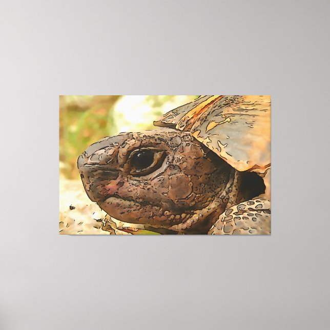 Nahes Seitenportrait einer türkischen Schildkröte Leinwanddruck (Vorderseite)