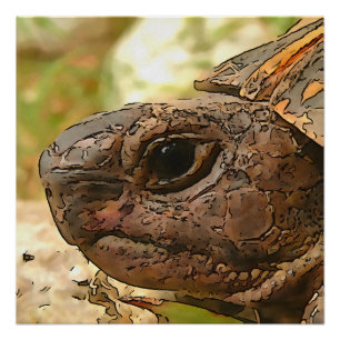 Nahes Seitenportrait einer türkischen Schildkröte Poster
