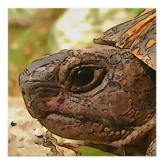 Nahes Seitenportrait einer türkischen Schildkröte Poster (Vorderseite)