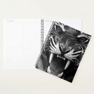 Nahes Tigerfeld Planer
