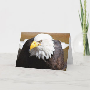 Nahes Up Bald Eagle Blank Notecard Karte