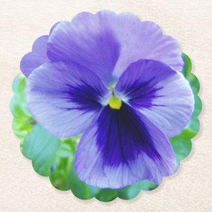 Nahes Up-Foto einer blauen Pansy Untersetzer