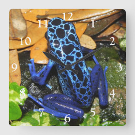 Nahes Up of a Blue Poision Dart Frog Quadratische Wanduhr