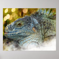 Nahes Up of a Large Scalygreen Iguana Lizard