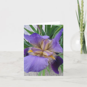 Nahes up of Blooming Iris Blume Karte