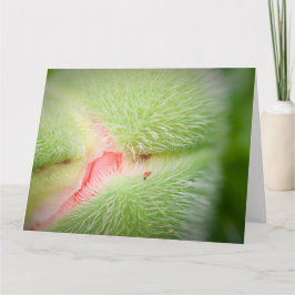 Nahes Up of Poppy Karte