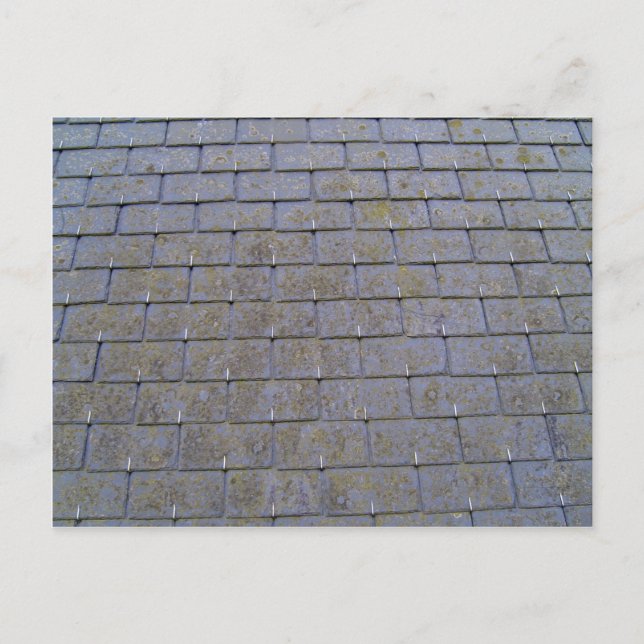 Nahes Up von Dachziegeln mit Lichen Postkarte (Vorderseite)