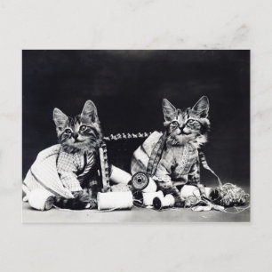 Nähkätzchen Vintage Schwarz und Weiß Postkarte