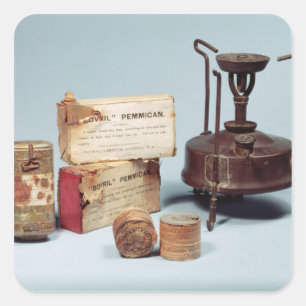 Nahrung genommen auf Scotts antarktischer Quadratischer Aufkleber