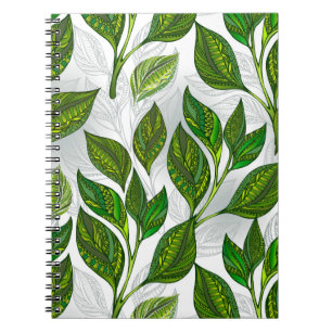 Nahtloses Muster mit Blätter aus grünem Tee Notizblock