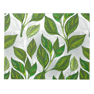 Nahtloses Muster mit Blätter aus grünem Tee Notizblock