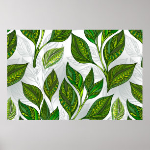 Nahtloses Muster mit Blätter aus grünem Tee Poster