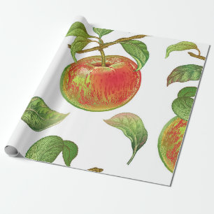 Nahtloses Muster mit roten Äpfeln. Realistischer V Geschenkpapier