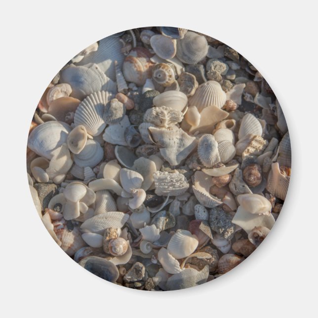Nahtstelle Magnet (Vorne)