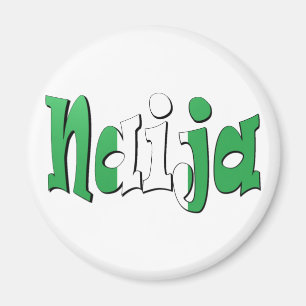 Naija (nigerianische Flagge) Magnet